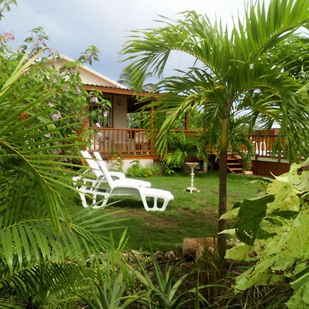 The Pool House Villa Saint Philip Exterior photo