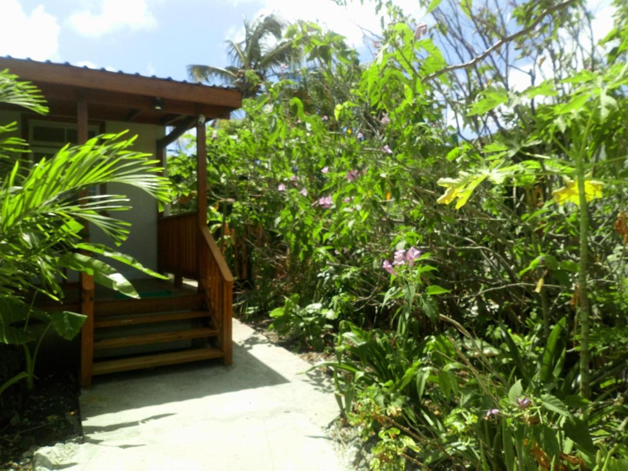 The Pool House Villa Saint Philip Exterior photo